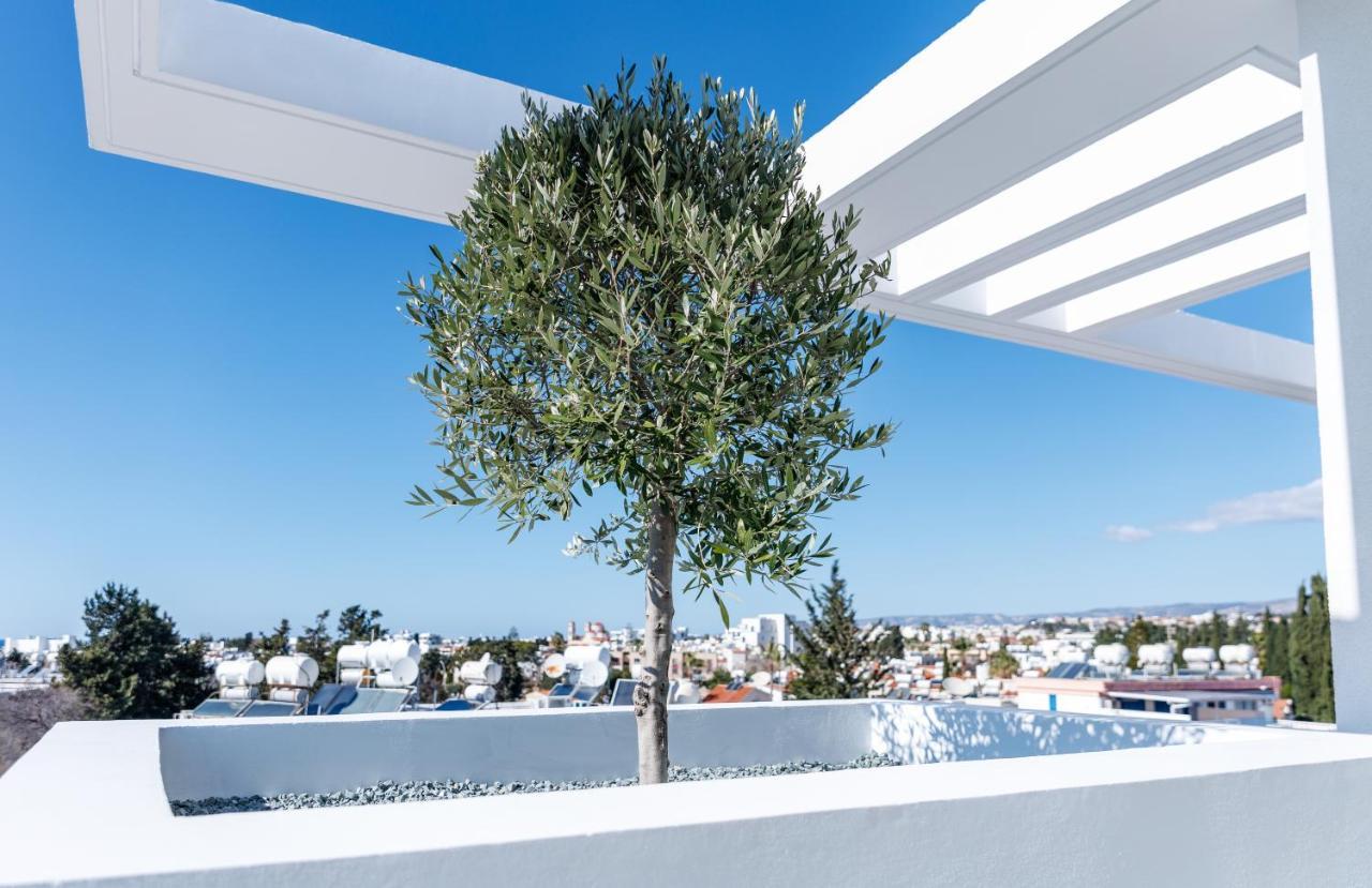 Regency Boutique Hotel Holiday Suites Paphos Luaran gambar